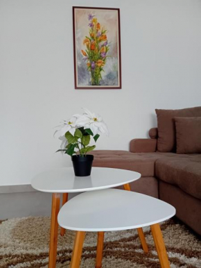 Apartman Ristić